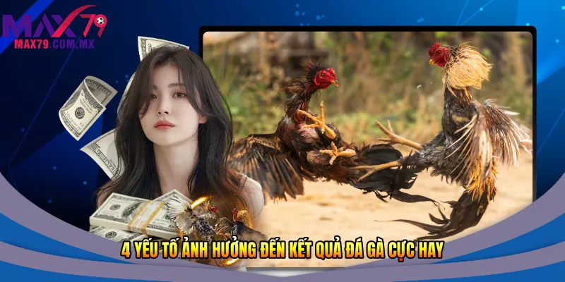 4 yếu tố ảnh hưởng đến kết quả đá gà cực hay