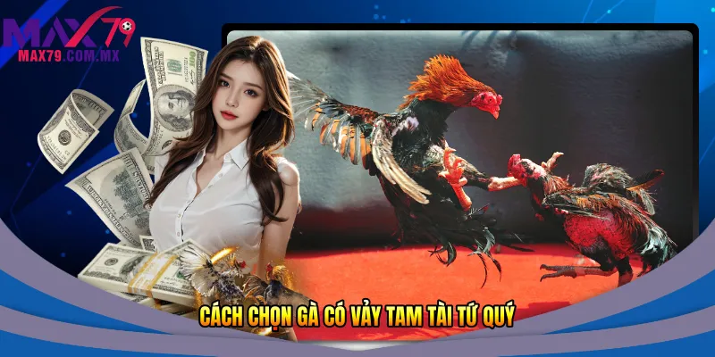 Cách chọn gà có vảy tam tài tứ quý