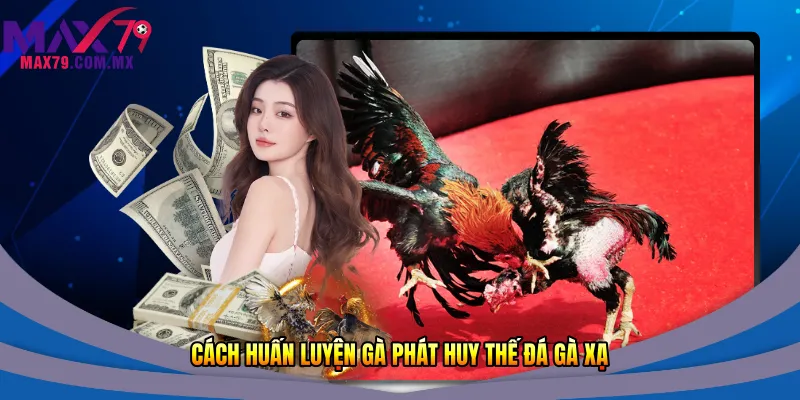 Cách huấn luyện gà phát huy thế đá gà xạ