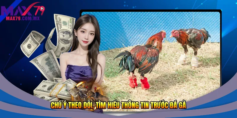 Chú ý theo dõi, tìm hiểu thông tin trước đá gà