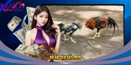 Đá gà cựa sắt