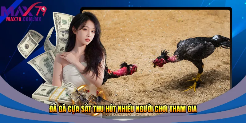 Đá gà cựa sắt thu hút nhiều người chơi tham gia