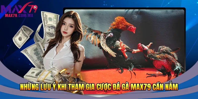 Những lưu ý khi tham gia cược đá gà Max79 cần nắm
