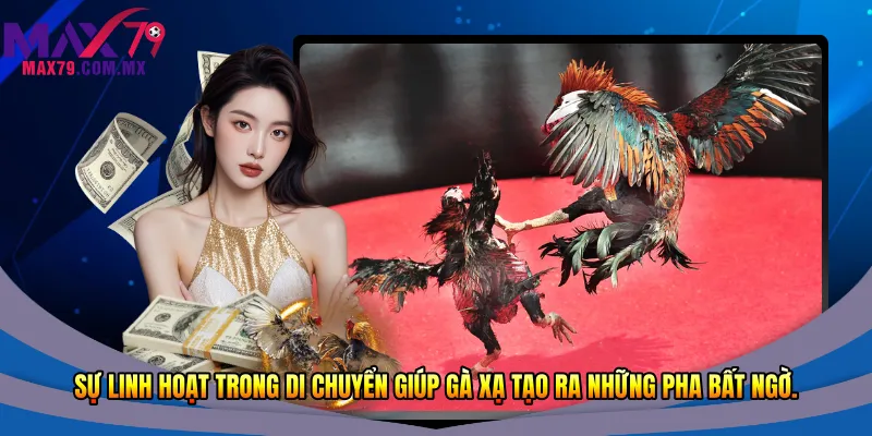 Sự linh hoạt trong di chuyển giúp gà xạ tạo ra những pha bất ngờ.