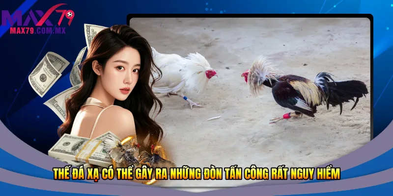 Thế đá xạ có thể gây ra những đòn tấn công rất nguy hiểm 