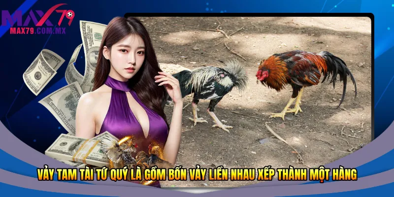 Vảy tam tài tứ quý là gồm bốn vảy liền nhau xếp thành một hàng